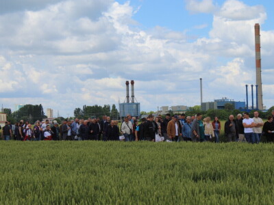 Dani polja pšenice i ječma Poljoprivrednog instituta Osijek 2025.