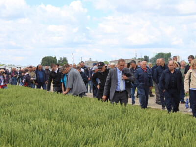 Dani polja pšenice i ječma Poljoprivrednog instituta Osijek 2025.