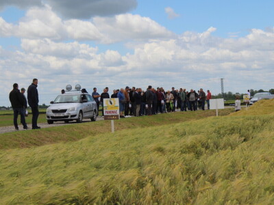 Dani polja pšenice i ječma Poljoprivrednog instituta Osijek 2025.