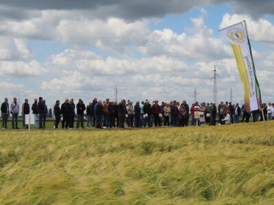 Dani polja pšenice i ječma Poljoprivrednog instituta Osijek 2025.