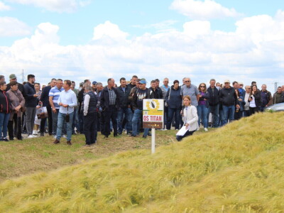 Dani polja pšenice i ječma Poljoprivrednog instituta Osijek 2025.