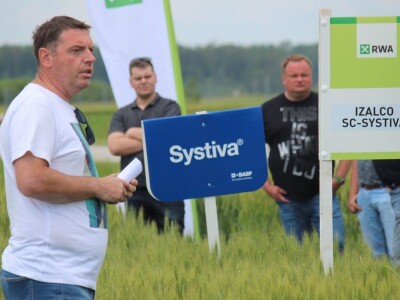 Dani polja pšenice RWA u Ždali