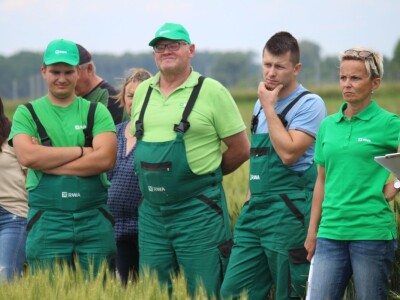 Dani polja pšenice RWA u Ždali