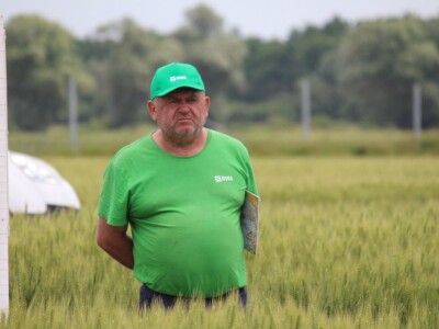 Dani polja pšenice RWA u Ždali