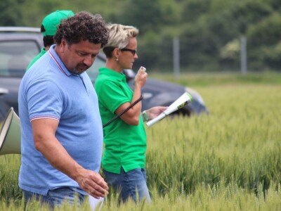 Dani polja pšenice RWA u Ždali