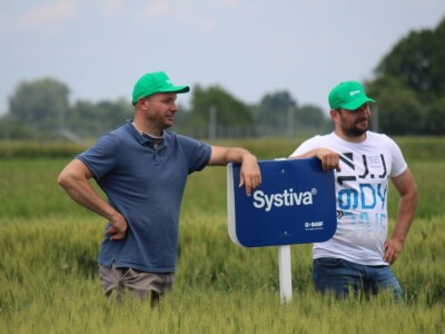 Dani polja pšenice RWA u Ždali