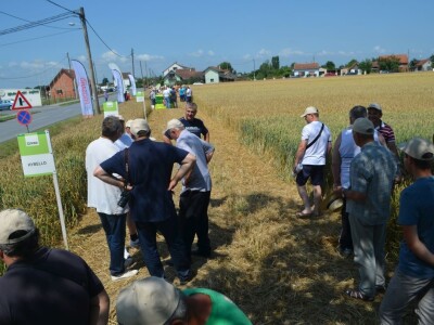 Dani polja RWA Hrvatska