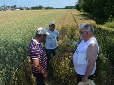 Dani polja RWA Hrvatska
