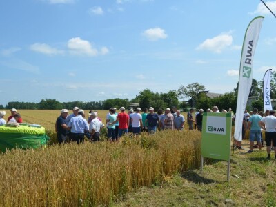 Dani polja RWA Hrvatska