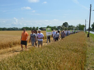 Dani polja RWA Hrvatska