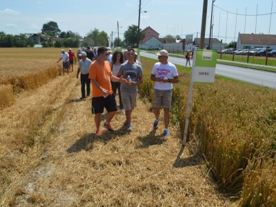 Dani polja RWA Hrvatska