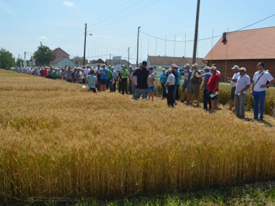 Dani polja RWA Hrvatska