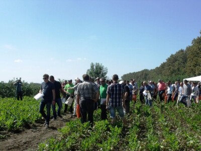 Dani polja šećerne repe