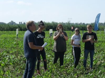 Dani polja šećerne repe