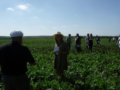 Dani polja šećerne repe