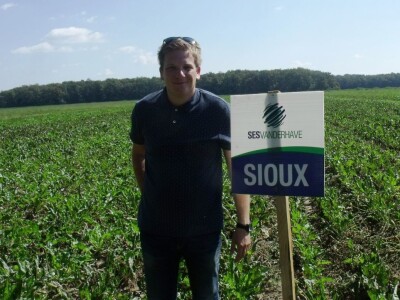 Dani polja šećerne repe