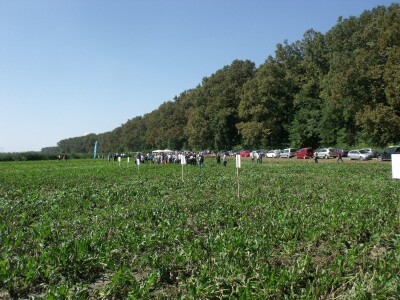 Dani polja šećerne repe