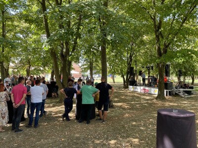 Dani polja suncokreta