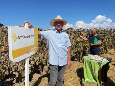 Dani polja suncokreta