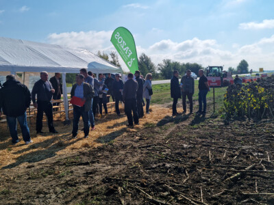 Dani polja suncokreta FAZOS