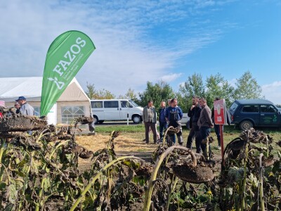 Dani polja suncokreta FAZOS