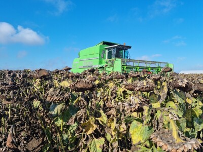 Dani polja suncokreta FAZOS