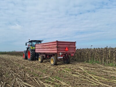 Dani polja suncokreta FAZOS