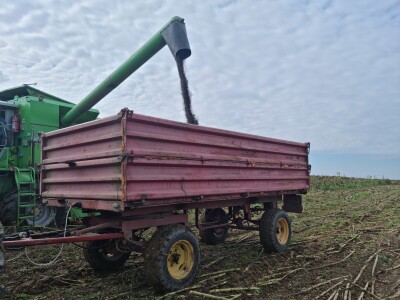 Dani polja suncokreta FAZOS