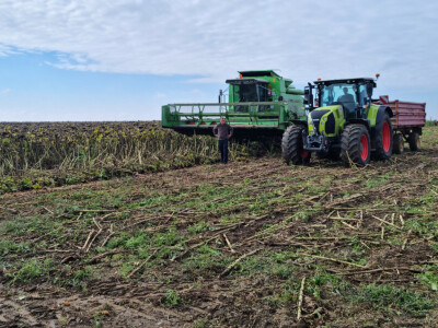 Dani polja suncokreta FAZOS