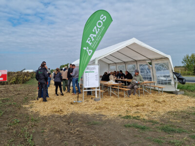 Dani polja suncokreta FAZOS