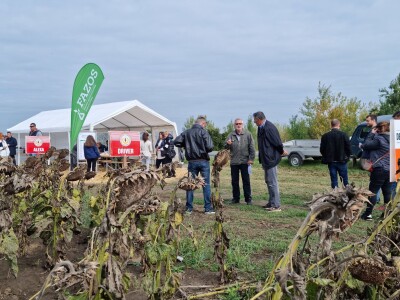 Dani polja suncokreta FAZOS