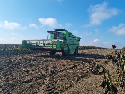 Dani polja suncokreta FAZOS