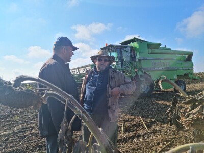 Dani polja suncokreta FAZOS