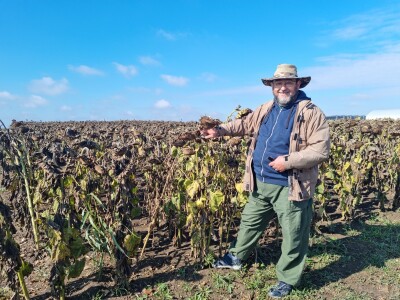 Dani polja suncokreta FAZOS