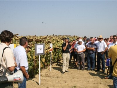Prezentacija ostvarenja na polju