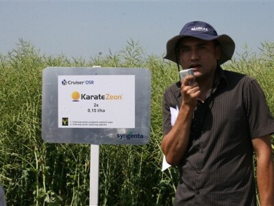 Syngentini centralni Dani polja