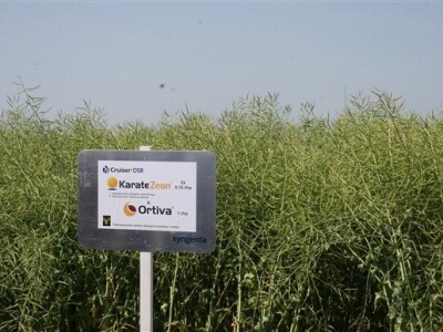 Syngentini centralni Dani polja