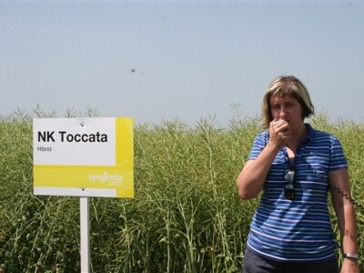 Syngentini centralni Dani polja