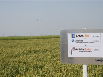 Syngentini centralni Dani polja