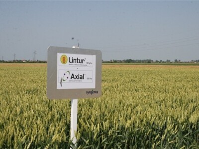 Syngentini centralni Dani polja