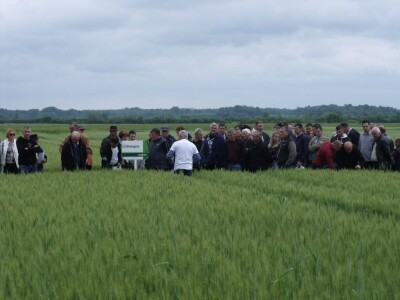 Dani polja Syngente 2019