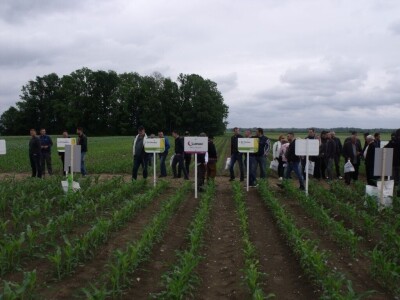 Dani polja Syngente 2019