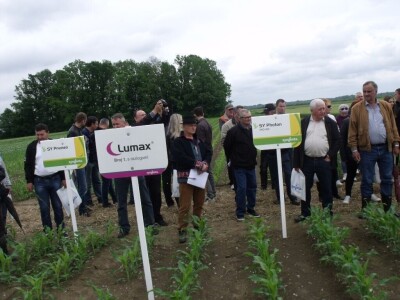 Dani polja Syngente 2019