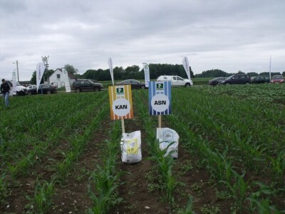 Dani polja Syngente 2019