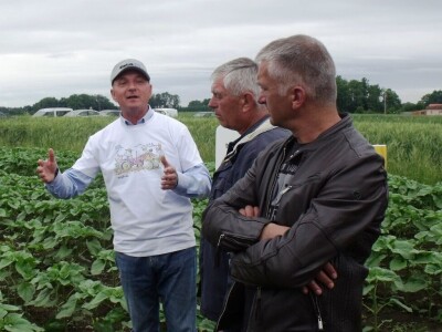 Dani polja Syngente 2019