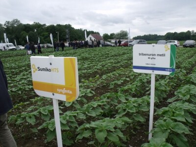 Dani polja Syngente 2019