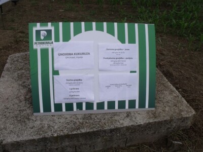 Dani polja Syngente 2019