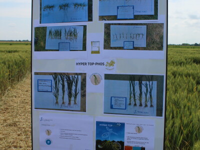 Dani polja tvrtke Timac Agro