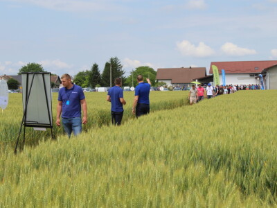 Dani polja tvrtke Timac Agro