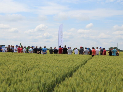 Dani polja tvrtke Timac Agro